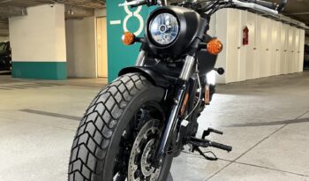 
										Indian Scout Bobber. Año 2024 lleno									