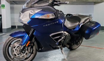 
										Triumph Trophy lleno									