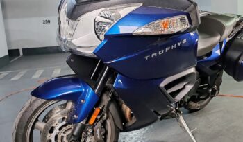 
										Triumph Trophy lleno									